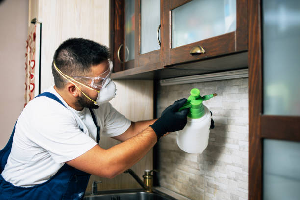 Best Affordable Pest Control Services  in Vian, OK