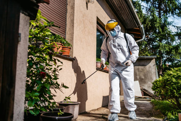 Best Pest Control Near Me  in Vian, OK