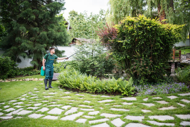 Best Wasp Removal Services  in Vian, OK