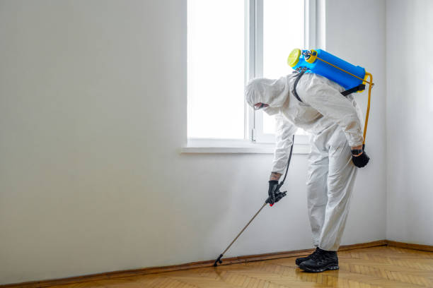 Best Wasp Removal Services  in Vian, OK