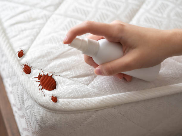 Best Best Pest Control Companies  in Vian, OK