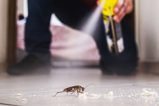 Best Bed Bug Extermination  in Vian, OK