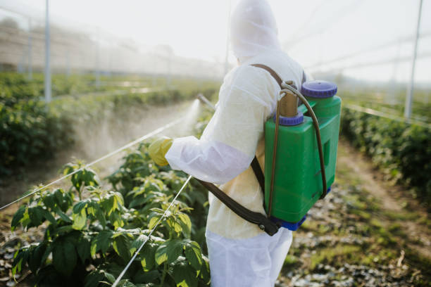 Best Termite Control Services  in Vian, OK